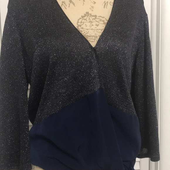 Sachin + Babi Shimmer Blouse - Picture 4 of 6